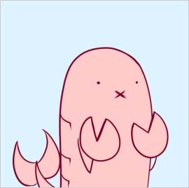 さくらえびちま
